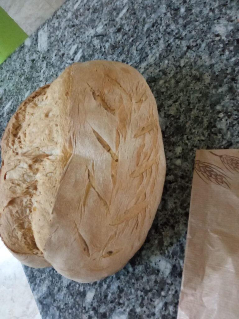 WhatsApp Image 2025-07-29 at 13.50.29 (1)