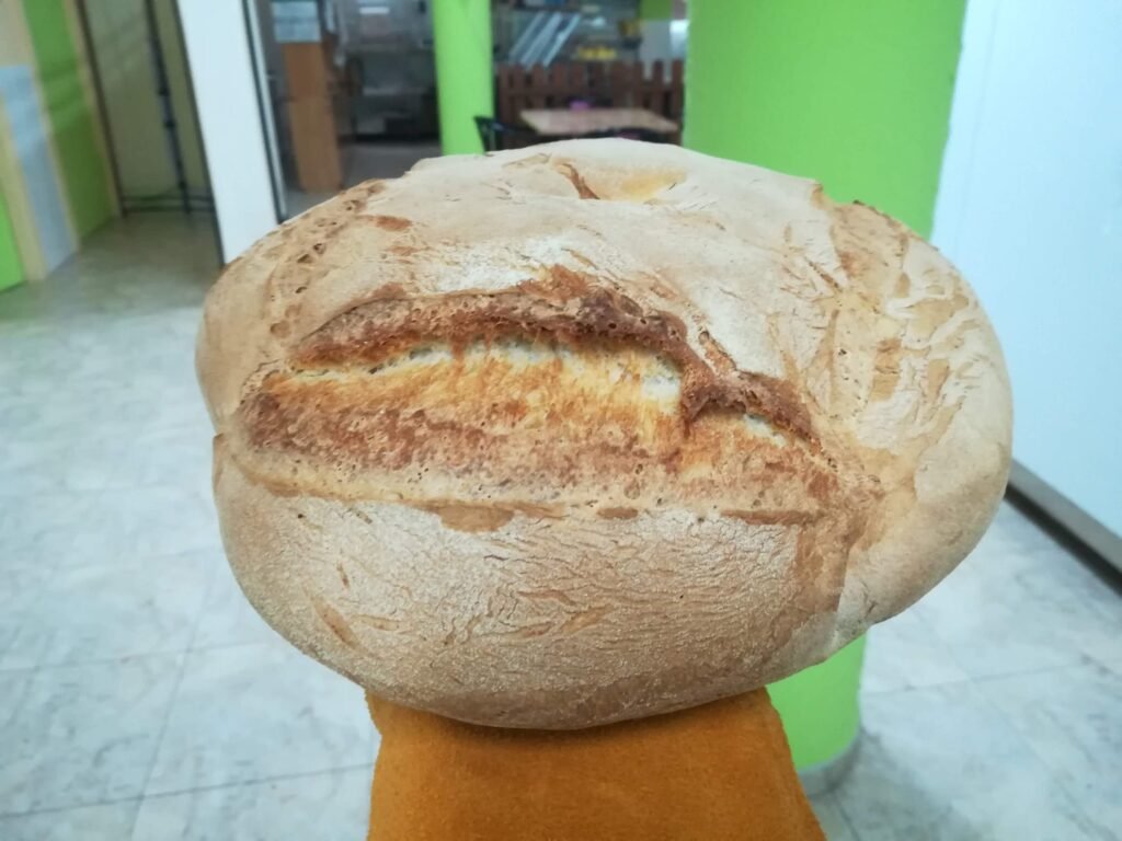 WhatsApp Image 2025-07-29 at 13.50.35 (2)